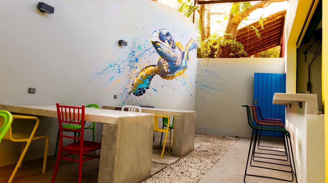Hostel Frente Al Mar Tropico 20º โกซูเมล ภายนอก รูปภาพ