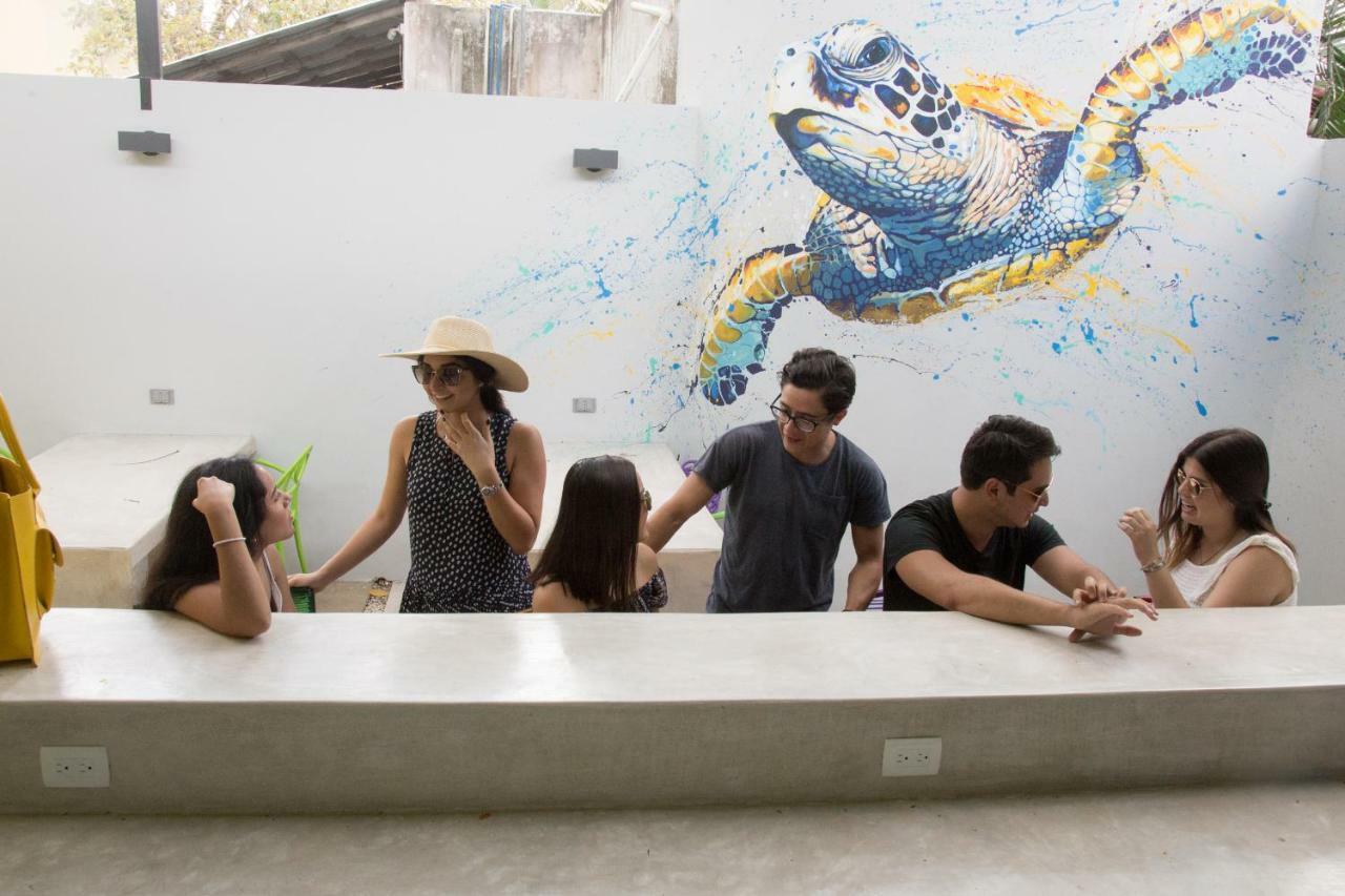 Hostel Frente Al Mar Tropico 20º โกซูเมล ภายนอก รูปภาพ